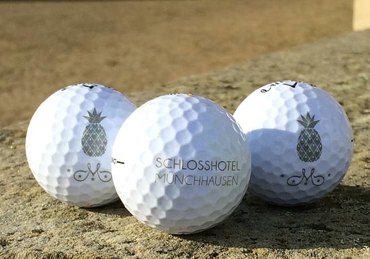 Schlosshotel Münchhausen