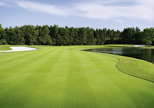 Green Eagle Golf Club